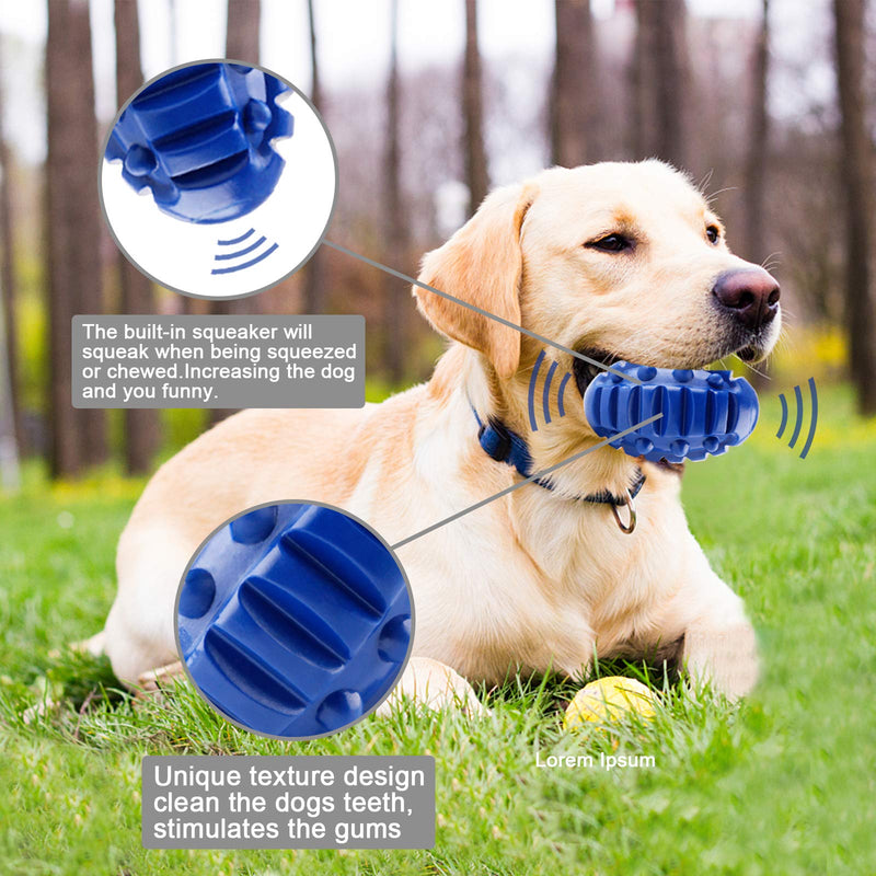 FancyWhoop Squeaky Dog Toys for Aggressive Chewers 100% Natural Rubber Puppy Chew Ball with Durable Squeaky for Medium and Large Breed Pet Toys Blue - PawsPlanet Australia