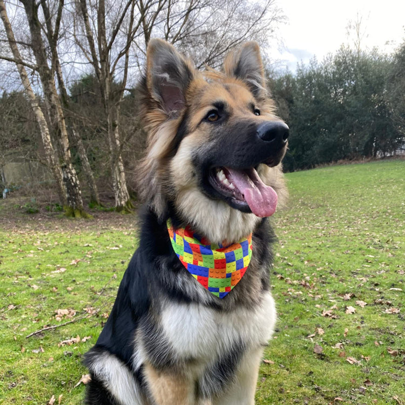 Children's Building Bricks Double Sided Slip-On Pet Bandana for Dogs, Cats and Rabbits (X-Small) XS - PawsPlanet Australia