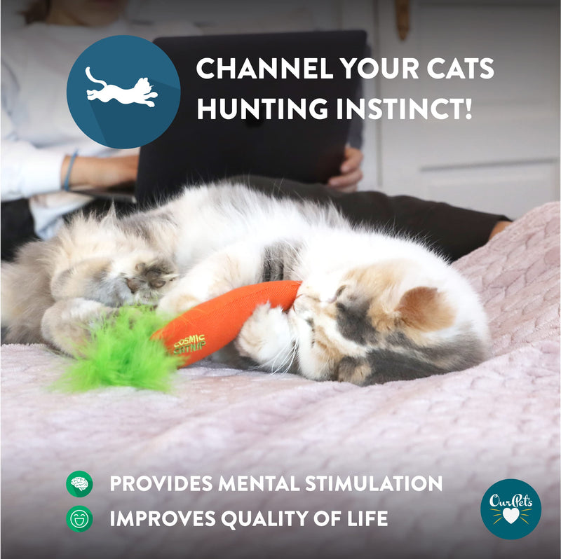 OurPets 100% North American Catnip Filled Cat Toys (Interactive Cat Toys for Indoor Cats, Kitten Toy, Cat Chew Toy & Catnip Toys for Cats) Great for Cats who enjoy Catnip & Interactive Cat Toys 24 Karat - PawsPlanet Australia