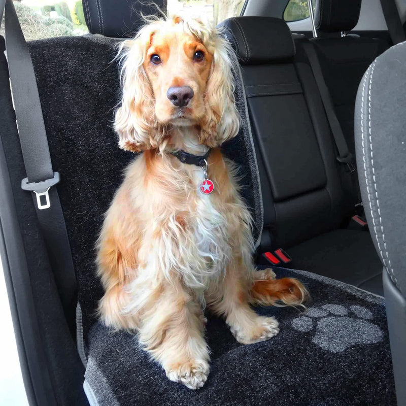 Car Seat Cover for Dogs by Pet Rebellion  Absorbent, Non-Slip, Machine-Wash Protector for Pet Hair and Wet Paws  CSC Single (1 seat) - PawsPlanet Australia