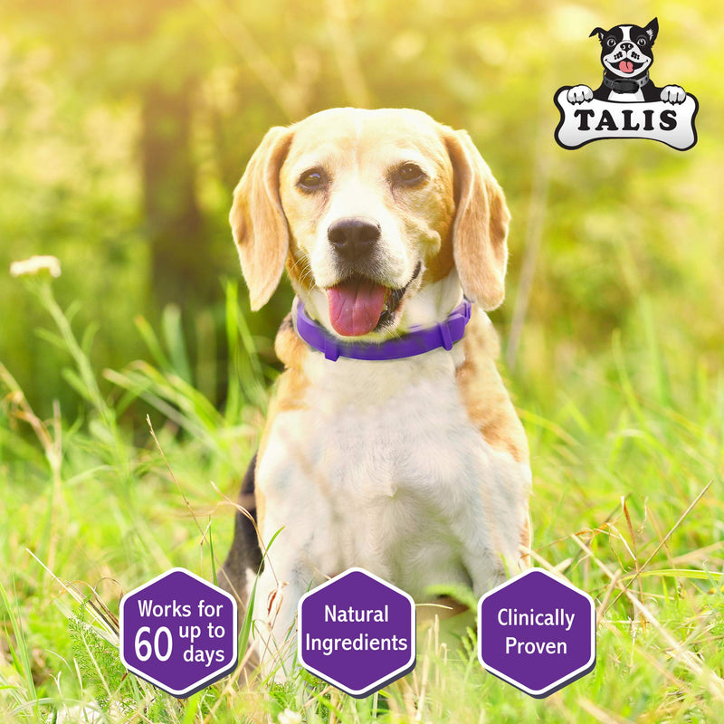 [Australia] - Calming Collar for Dogs Made with Natural Ingredient to Help Your Dog Allays Feel Secure, Happy and Healthy Adjustable Anxiety Natural Calm Collars, Fits All Dogs Small Medium & Large 