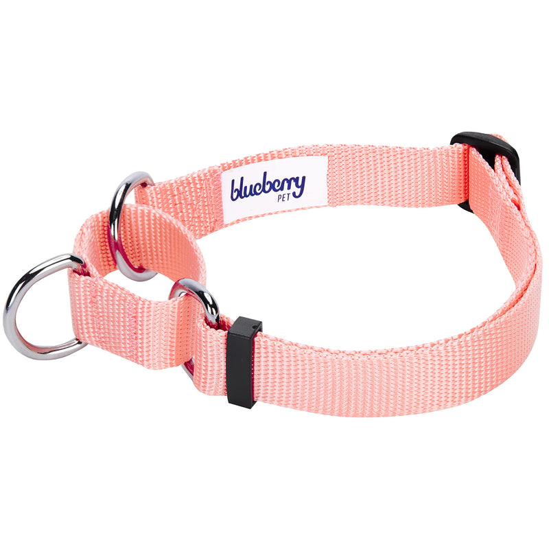 Blueberry Pet Essentials 21 Colors Safety Training Martingale Dog Collars, Personalized Martingale Dog Collars Small Baby Pink - PawsPlanet Australia