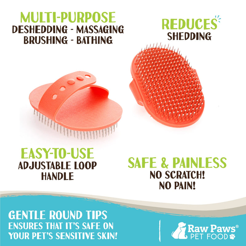 Raw Paws Pet Hand-Held Rubber Tipped Pin Brush for Dogs & Cats - Grooming Brush for Dogs Shedding - Dog Brushes for Grooming Large Dogs & Small Dogs - Bath Brush for Dogs with Short Hair & Long Hair - PawsPlanet Australia