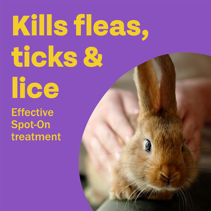 Bob Martin | Spot On Flea Treatment for Small Pets (Rabbits, Hamsters & Guinea Pigs) | Protection Against Fleas, Ticks, Lice & Mites (1 Pipette) - PawsPlanet Australia