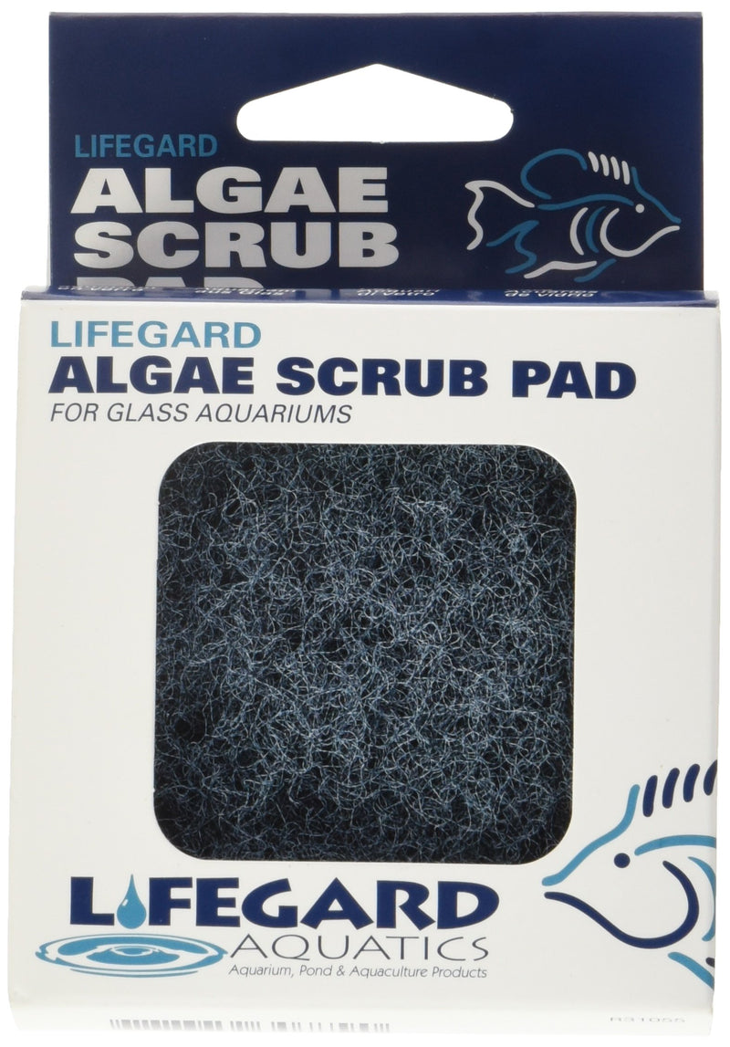 [Australia] - Lifegard Aquatics 3-Inch by 3-Inch Blue Algae Pad 