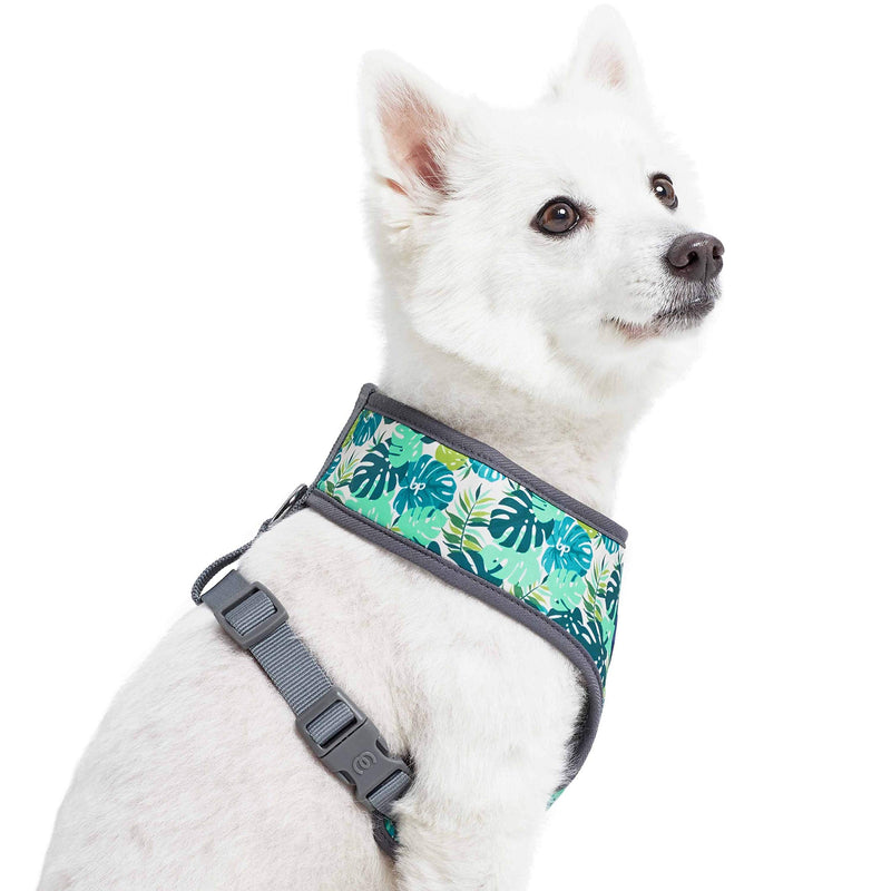 Blueberry Pet 10+ Patterns Soft & Comfy Spring Scent Inspired Floral/Camo Print Dog Harness Vests, Harness Dresses Harness Vest - (13" - 16") Chest Girth Bahamas Vacation - PawsPlanet Australia