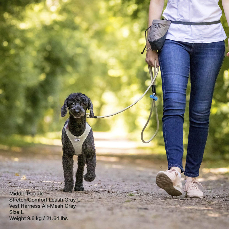 Curli Stretch Comfort Leash Black L - PawsPlanet Australia