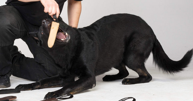 Dingo Gear Dog Bite Tug Handmade of Beige Grain Leather Strong For Training K9 Ipo Agility and Just Fun S00225, Coffee Latte - PawsPlanet Australia