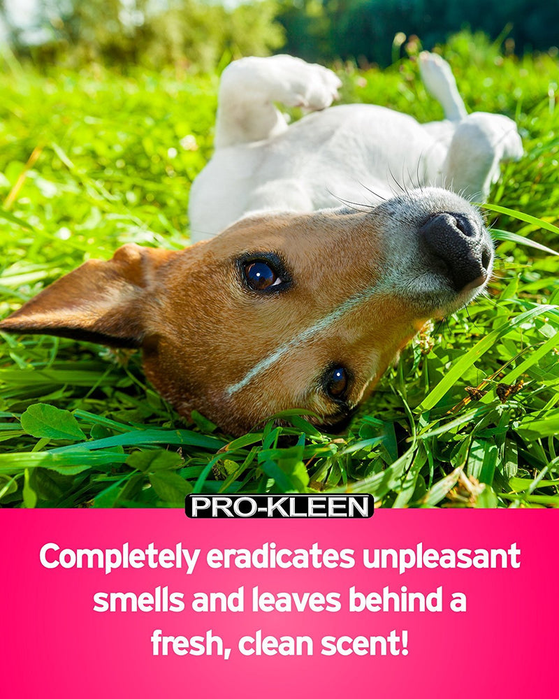 Pro-Kleen Kennel Disinfectant, Cleaner & Deodoriser (Cut Grass Fragrance) - 5L Pack - Tested according to DVG (German Veterinary Medical Society) - PawsPlanet Australia