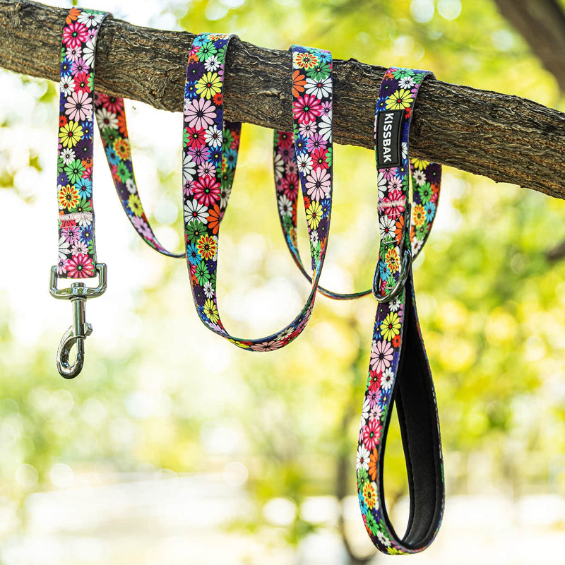 KISSBAK Dog Leash for Small-Medium-Large Dogs - Comfortable Padded Handles,Premium Floral Sunflower Dog Training Leash,Walking Lead for Dogs (Floral, Large (1 Inch x 6 Feet)) Large (1 Inch x 6 Feet) - PawsPlanet Australia