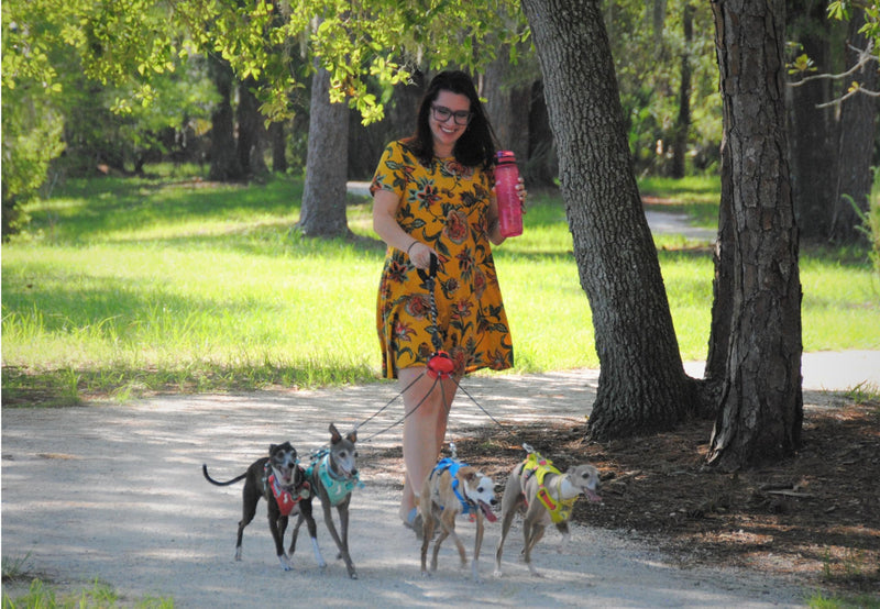 Multi Dog Leash Tangle Free (Up to 30 pounds Each) Patented Automatic Untangle The Leads When Your Dogs Change Positions, Dawg Bawl Leash is Adjustable for 2, 3 or 4 Dogs - PawsPlanet Australia