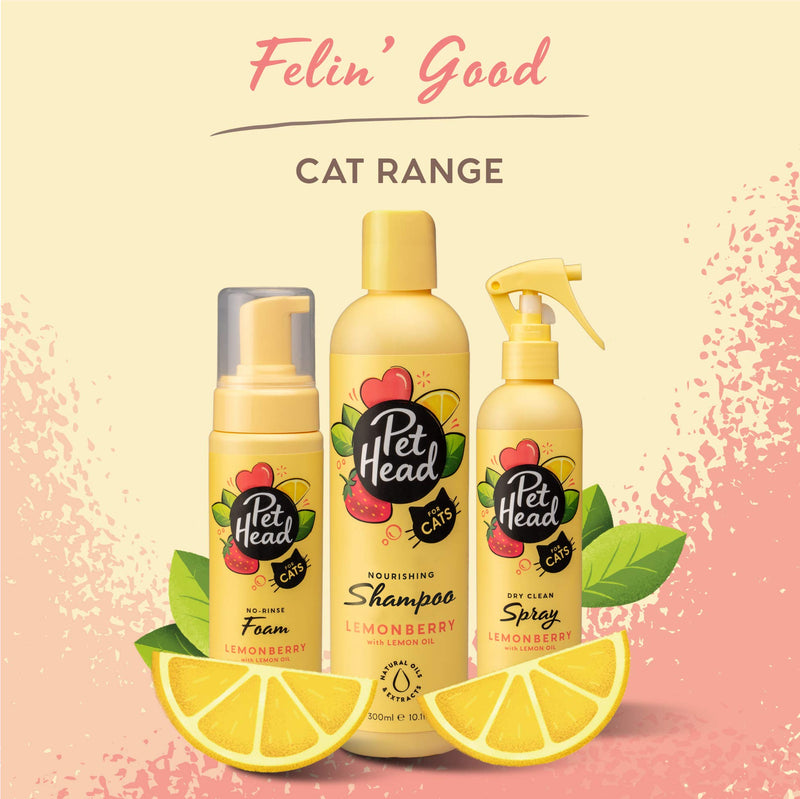 Pet Head Cat Shampoo, Felin' Good Shampoo For Cats - PawsPlanet Australia