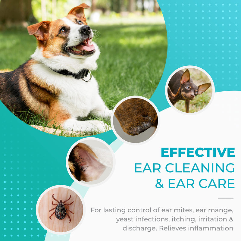 Hundepflege24 - Ear drops for dogs 2x 50ml - Ear mite treatment for dogs, cats and other pets - 100% natural & vegan ear care against itching, fungi & acariasis - PawsPlanet Australia