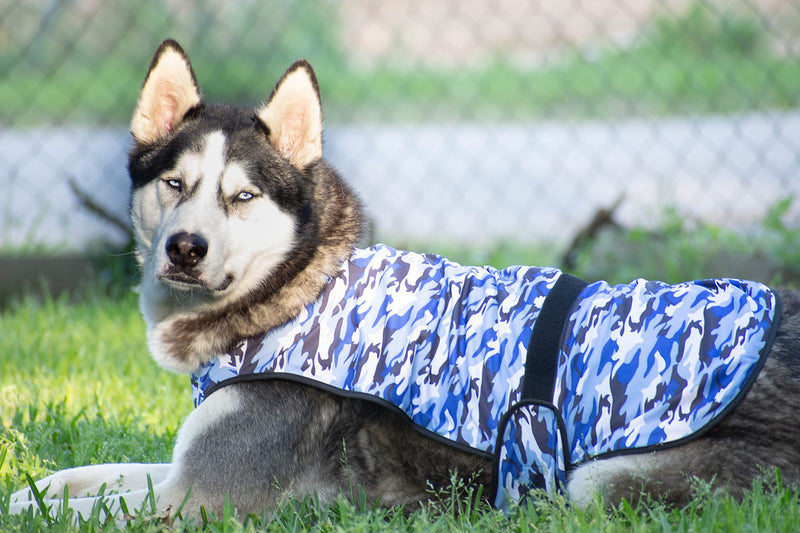 LUCOLOVE Dog Cooling Vest, Breathable 2-Layer Evaporative Microfiber Camo Print Pet Cooler for Training, Walking, Hiking and Running in Summer, UPF 50 Protection (Blue, X-Small) Blue Camo - PawsPlanet Australia