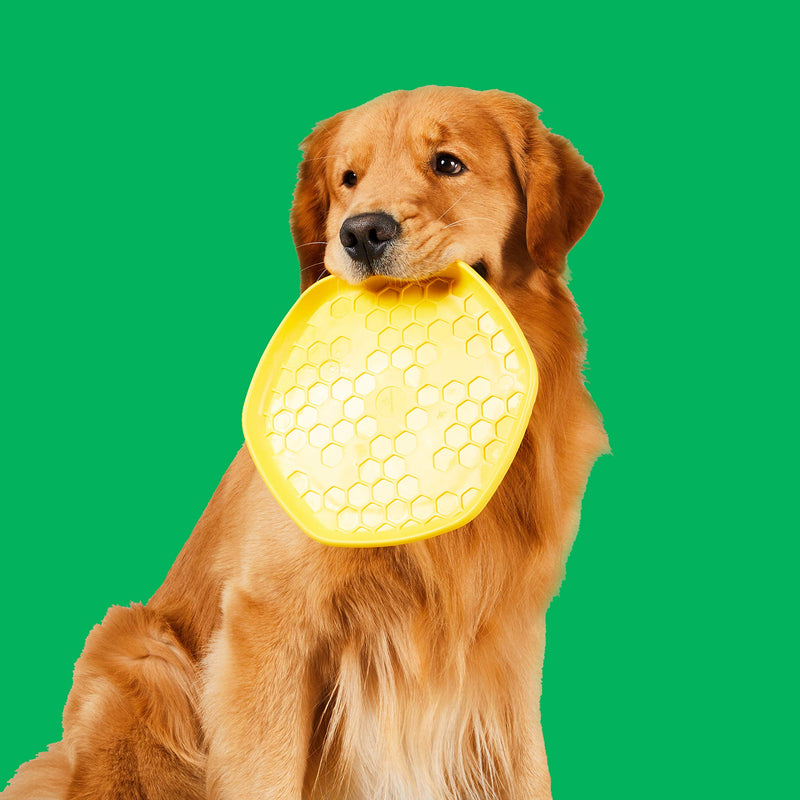 Project Hive Pet Company - Hive Frisbee for Dogs - Dog disc - Great for Fetch - Includes a Lick mat on Back - Floats in Water, Smooth Glide - Made in The USA Hive Disc - PawsPlanet Australia