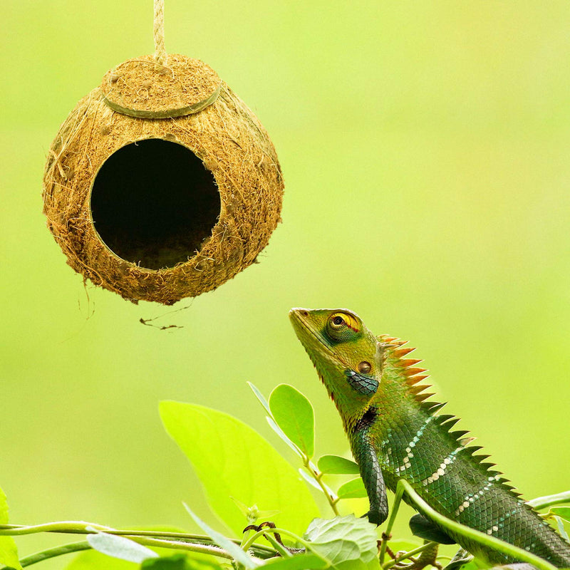 [Australia] - Crested Gecko Coco Hut Shell Bird House, Sturdy Hanging Home, Climbing Porch, Hiding, Sleeping&Breeding Pad, Rough Texture Encourages Foot and Beak Exercise, Suitable for Reptiles, Amphibians 1-Hole 