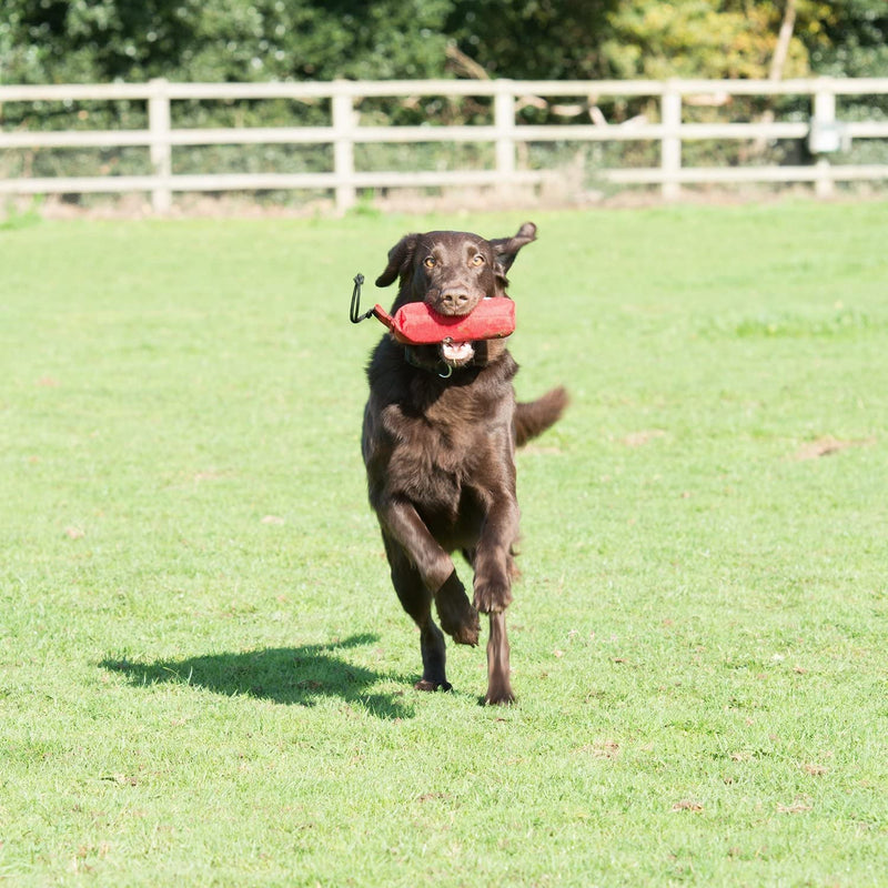 COMPANY OF ANIMALS Canvas Training Dummy for Dogs, Size Small, Retrieval Training Equipment Floats, Highly Visible, Long Distance Throwing, GunDog & Puppy Training Available in Small, Medium & Large - PawsPlanet Australia