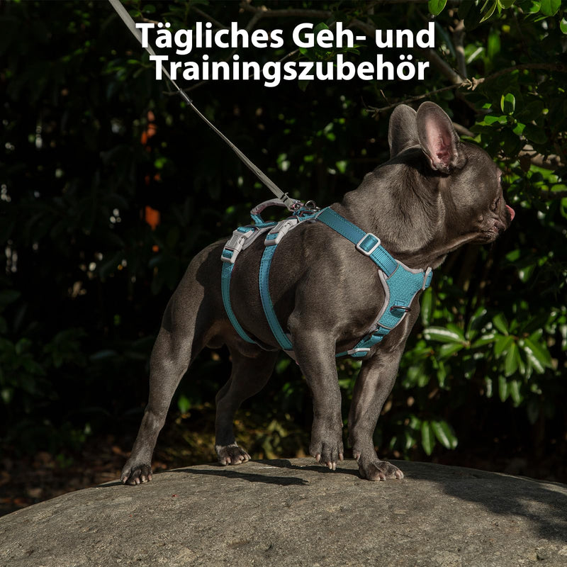 Huntboo Safety Harness Dog Escape Proof, Escape Artist Harness, Reflective Harness with Padded Handle, Durable, Adjustable Vest for Small Dogs Walking (Blue, S) Blue Small (Pack of 1) - PawsPlanet Australia