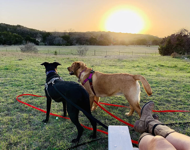 50m towing leash for dogs, Mainiusi dog leash with handle padding, running leash for dogs, cross-country skiing leash for large dogs, training leash for dogs, towing leash for large dogs, small dogs (50m, red) - PawsPlanet Australia