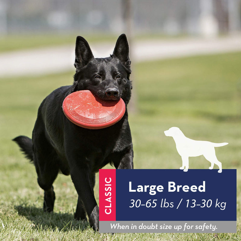 KONG - Flyer - Durable Rubber Flying Disc Dog Toy - For Large Dogs - PawsPlanet Australia