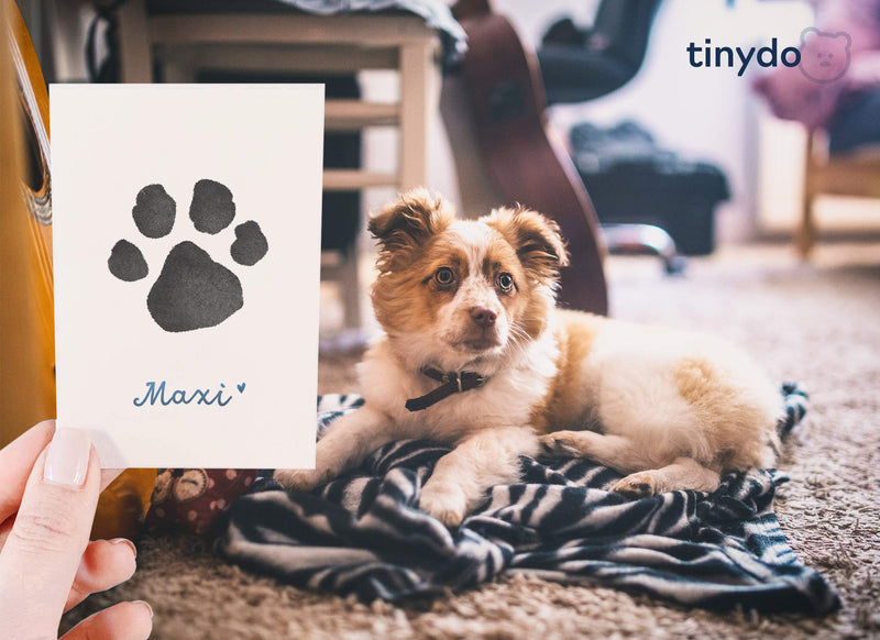 Ink Free Paw Print Set | Pack of 2 | For dogs and cats paws | Gift for pet owners | Ink pad (black) without contact with the color black - PawsPlanet Australia