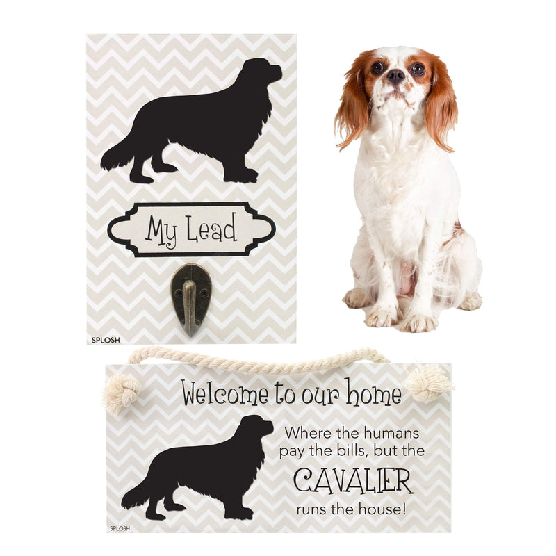 Splosh Precious Pet Dog Plaque and Dog Lead Hook Pack, Cavalier. The funny signs are a personalised mini addition to any dog lovers home, and a welcomed accessory for all dogs. - PawsPlanet Australia