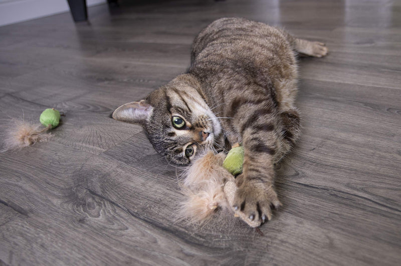 [Australia] - Petlinks Cat Toys with Feathers 