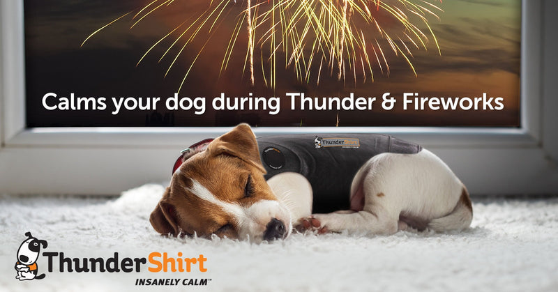 ThunderShirt Polo Dog Anxiety Jacket | Vet Recommended Calming Solution Vest for Fireworks, Thunder, Travel, & Separation XS Camo - PawsPlanet Australia