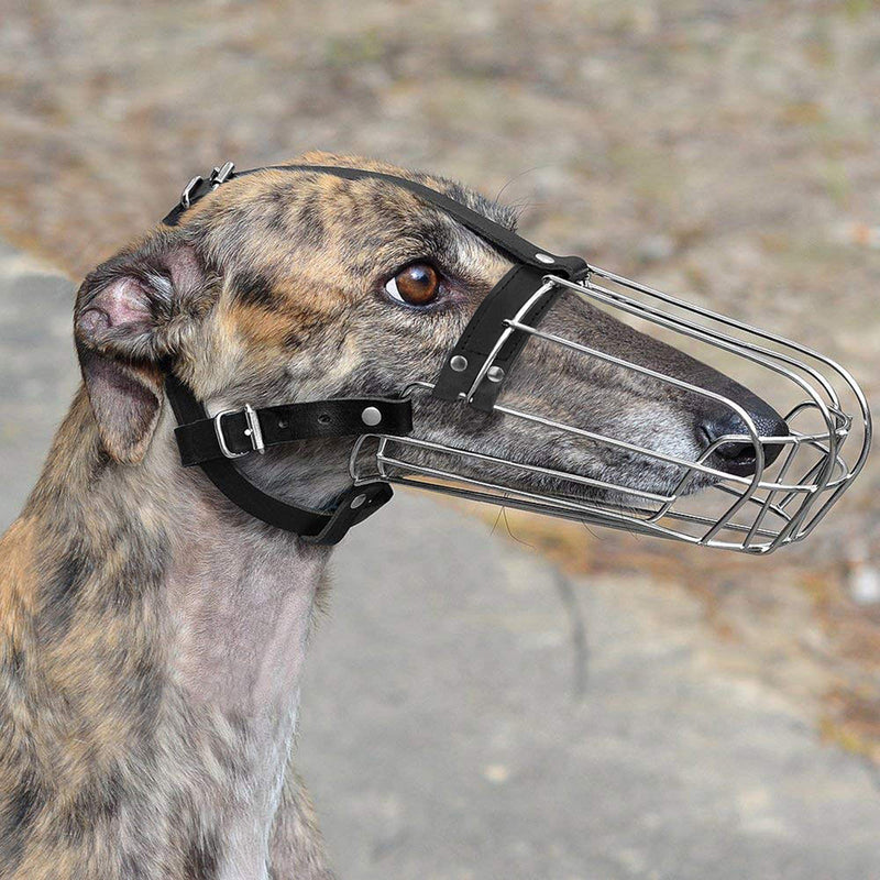 [Australia] - BRONZEDOG Greyhound Muzzle for Adult Dogs Metal Wire Basket Adjustable Leather Straps 