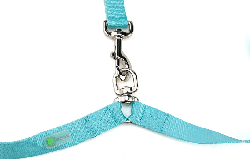 [Australia] - DCbark Tangle Free Double Dog Leash, No Tangle Adjustable Length Lead with Comfortable Padded Handle for 2 Dogs Medium Turquoise 