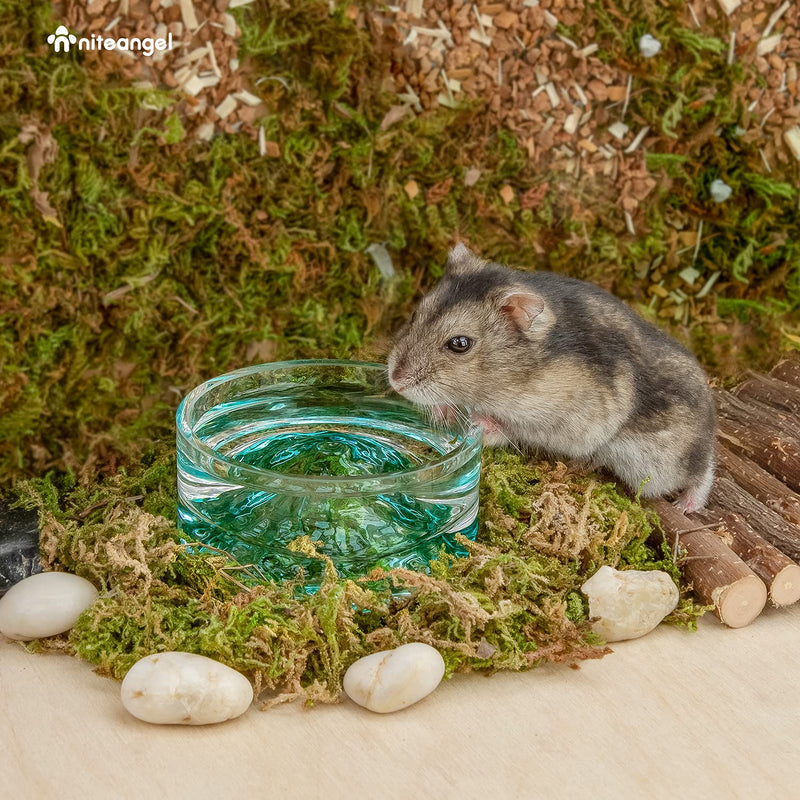 Niteangel Hamster Feeding & Water Bowls: - Mount Fuji Series Glass Drinking Bowls for Dwarf Syrian Hamsters Gerbils Mice Rats or Other Similar-Sized Small Pets Green - PawsPlanet Australia