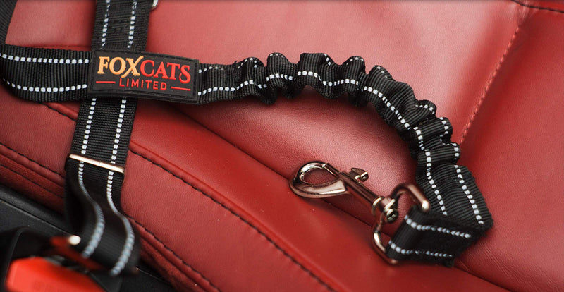 [Australia] - Foxcats Limited Dog Seat Belt, Dog Cat Car Safety Seat Belt Harness Adjustable Leads Harness for Cars Vehicle black 