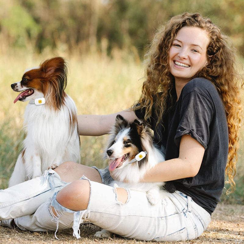 Bark Collar for Dogs,Rechargeable Anti Barking Collar，Intelligent Detection by Throat Vibration with 8 Adjustable Sensitivity and Intensity Vibration for Medium Large Dogs White - PawsPlanet Australia