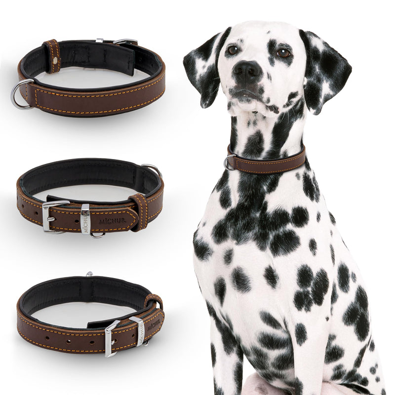 Michur Minimo dog collar leather, leather collar dog, collar, brown, leather, available in different sizes, neck circumference 24-30cm - PawsPlanet Australia