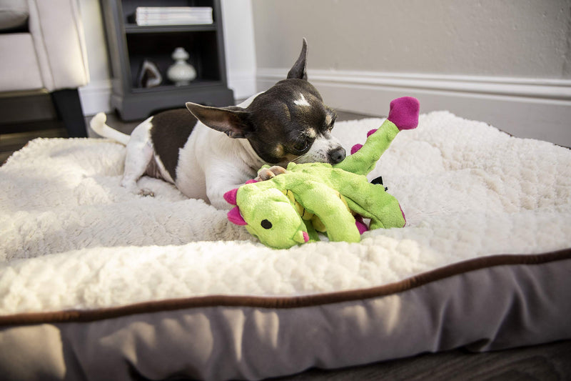 [Australia] - goDog Dragons with Chew Guard Technology Plush Squeaker Dog Toy, Bright Green and Pink, Small (70640) 