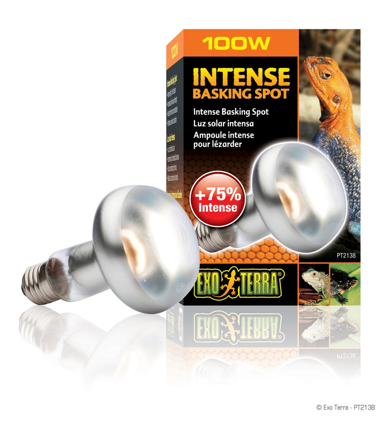 Exo Terra Intense Basking Spot Lamp, 100 W 100 Watt - PawsPlanet Australia
