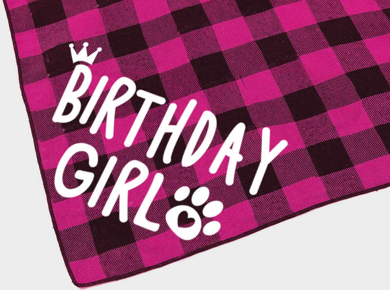 Birthday Girl Dog Bandana - PawsPlanet Australia