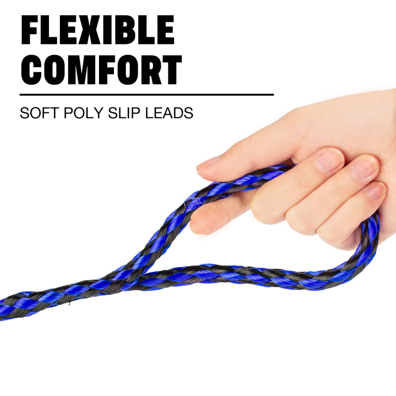 [Australia] - Durable Braided Poly Dog Slip Leads, Animal Control Kennel 5 FT Slip Leads, Strong Leashes for Dogs, Grooming, Shelter, Rescues, Vet, Veterinarian, Doggy Daycare or Pet Training 6 Pack 