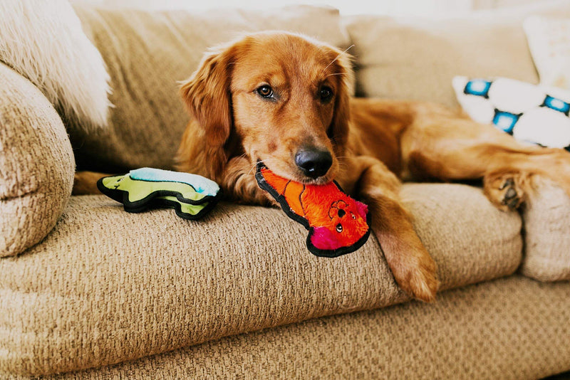 [Australia] - Outward Hound Invincibles Dog XS Orange 