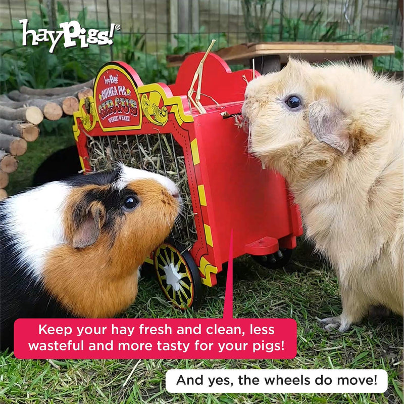 HAYPIGS Guinea Pig Toys and Accessories - Circus themed WHEEK WAGON Hay Hopper - Guinea Pig Hay Rack - Dwarf Rabbit Feeder - Hay Racks for Guinea Pigs - Hay Feeder - Chinchilla Hay Rack - PawsPlanet Australia