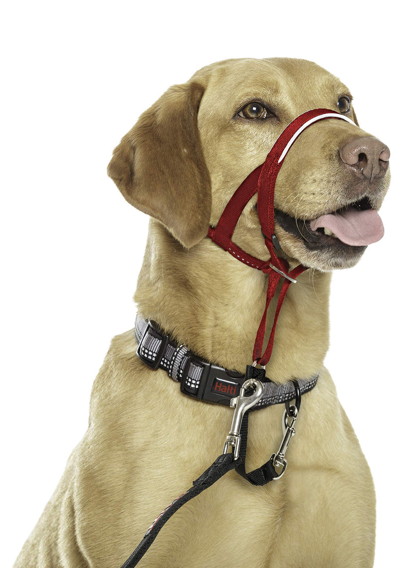 HALTI Headcollar Size 3 Red, UK Bestselling Dog Head Harness to Stop Pulling on the Lead, Easy to Use, Padded Nose Band, Adjustable & Reflective, Professional Anti-Pull Training Aid for Medium Dogs - PawsPlanet Australia