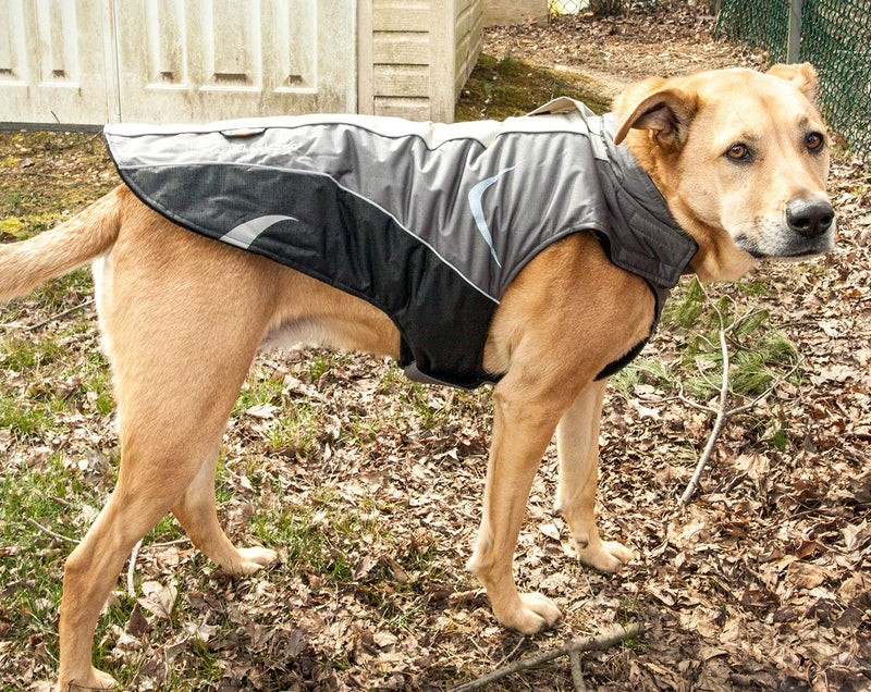 [Australia] - DOGHELIOS 'Altitude-Mountaineer' Wrap-Velcro Protective Waterproof Pet Dog Coat Jacket w/ Blackshark Technology, Medium, Black, Grey 