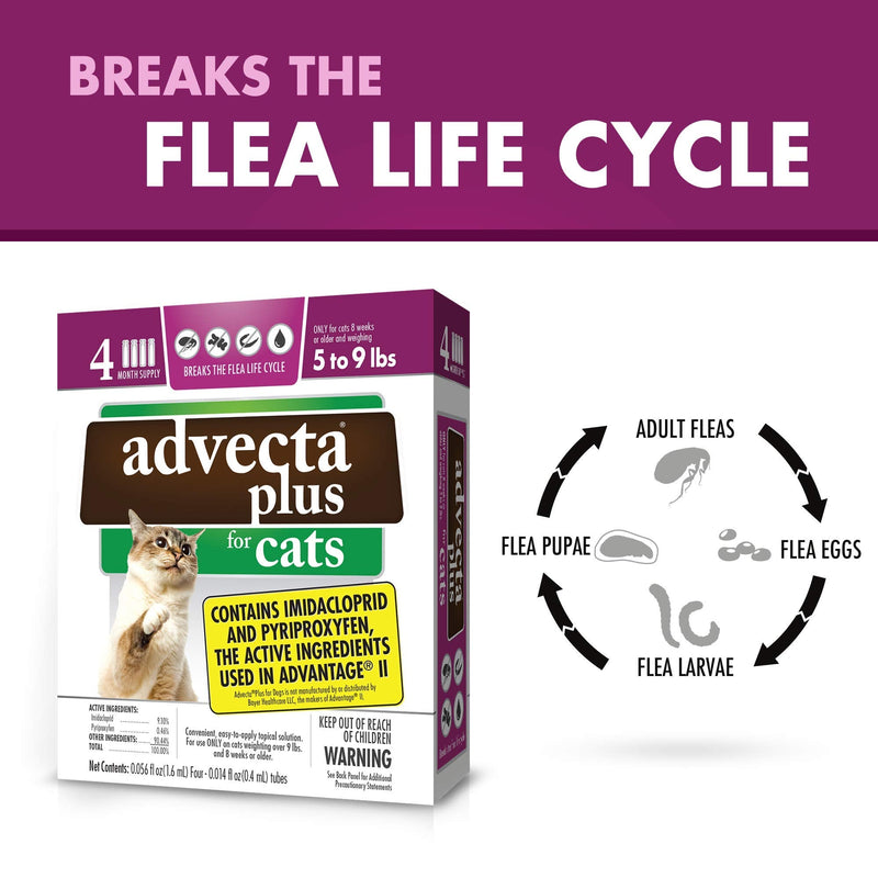 Advecta Plus Flea Squeeze-On, Flea Prevention for Cats, 4 Month Supply Cats 5-9 lbs - PawsPlanet Australia