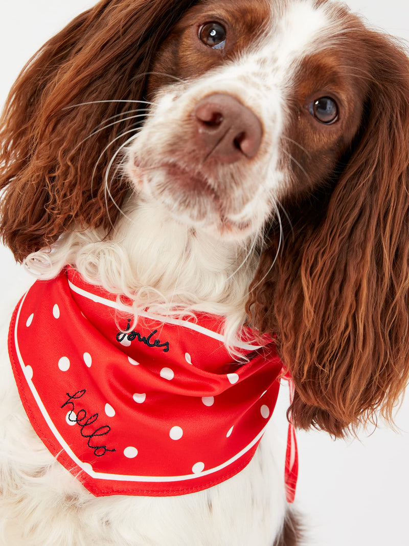 Rosewood Joules RED HELLO POLKA DOT NECKERCHIEF - PawsPlanet Australia