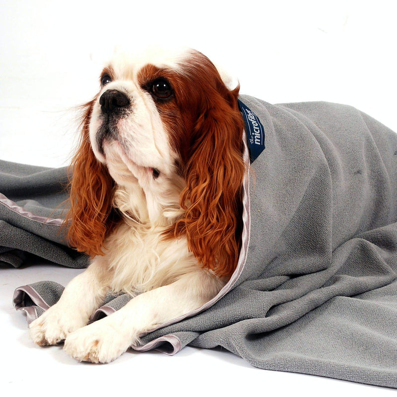 DoggyBag @ WOWOOO Microfibre Doggy Towel - Superabsorbent quick drying dog towel : Large Brown/Orange L - PawsPlanet Australia