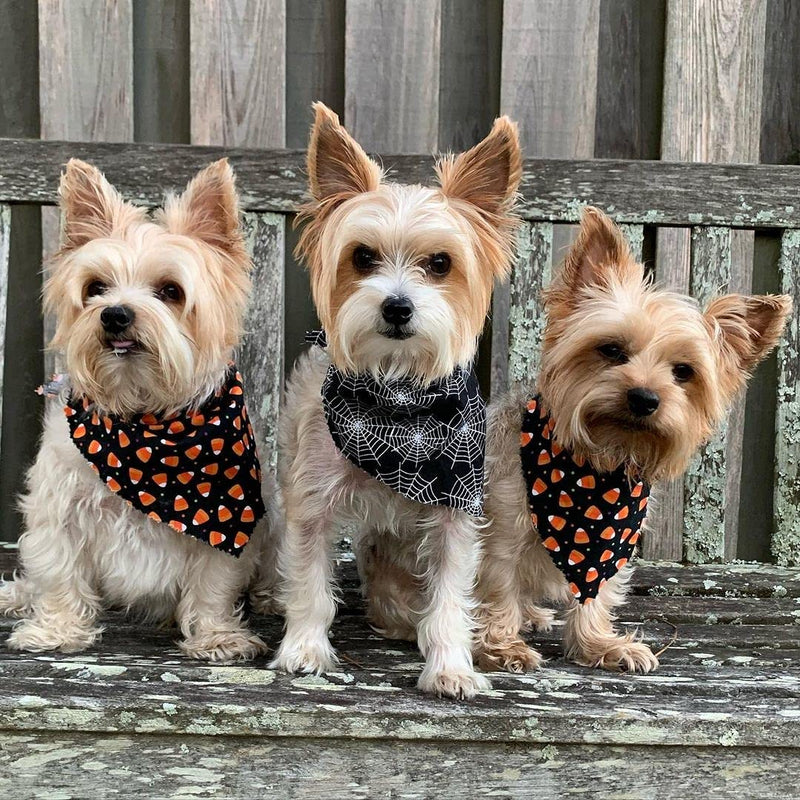 Ginmewrae 2 Pack Halloween Dog Bandana Triangle Bibs Scarf Accessories TG - PawsPlanet Australia