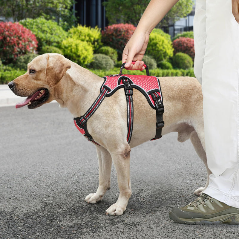HEELE dog harness, escape-proof, buckle in the neck area, reflective, chest harness with robust handle, panic harness for dogs, dog harness with a stable impression, fits like a glove, red, L - PawsPlanet Australia