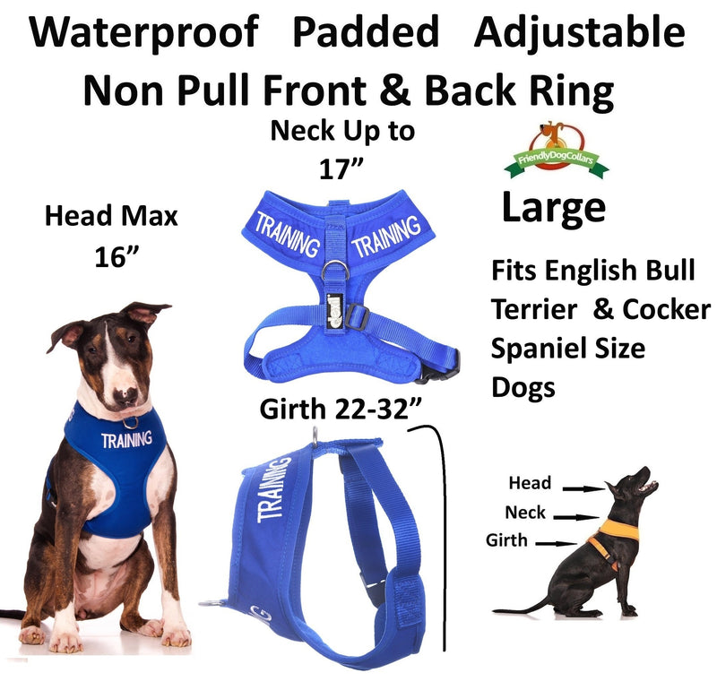 [Australia] - TRAINING (Dog In Training/Do Not Disturb) Blue Color Coded Non-Pull Front and Back D Ring Padded and Waterproof Vest Dog Harness PREVENTS Accidents By Warning Others Of Your Dog In Advance Large Harness 22-32inch Chest/Girth 