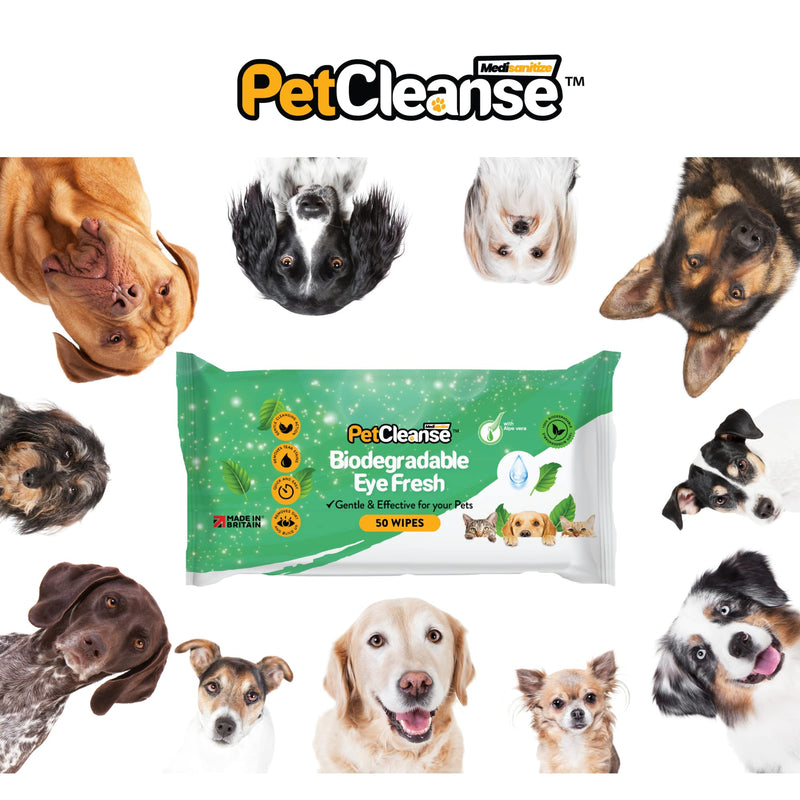 Pet Eye Wipes for Your Dogs Puppies Cats & Kittens: Daily Big Wet Cleaning Wipes for Dirt, Crusty Discharge & Tear Stains: 50 Large Wet Wipes Pack with Aloe Vera (3 Packs) 3 Packs - PawsPlanet Australia