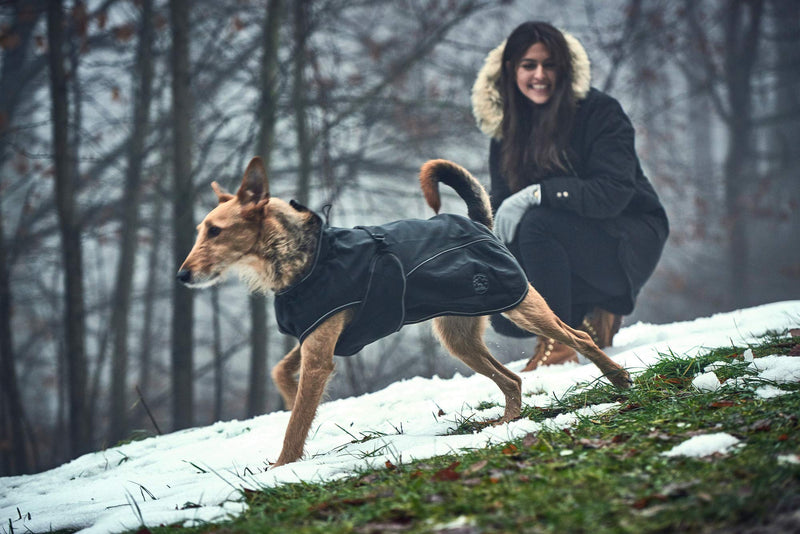 HUNTER Uppsala Softshell Dog Coat, 60 cm, Black - PawsPlanet Australia